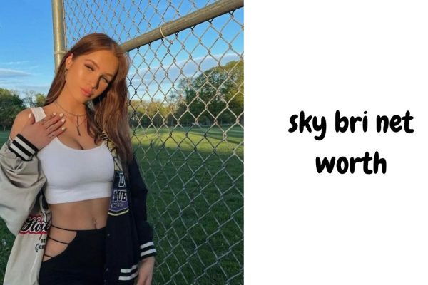 sky bri net worth